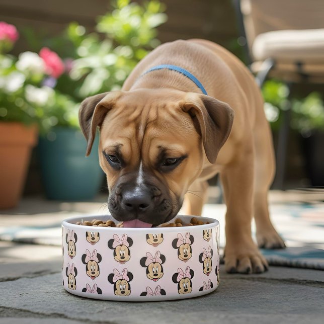 Minnie Bowl (Creator Uploaded)