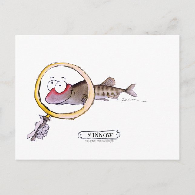 Minnow fish, tony fernandes postcard (Front)