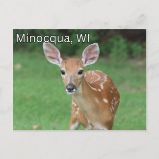 Minocqua Wisconsin Postcard Souvenir