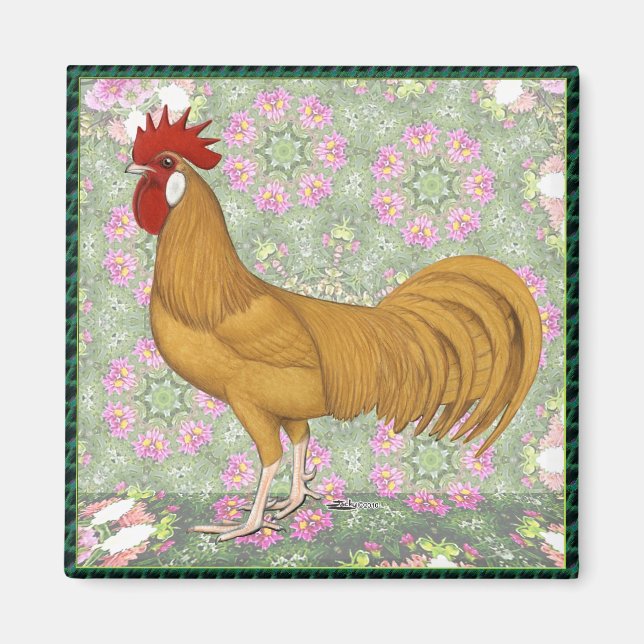 Minorca:  Old-fashioned Rooster Magnet (Front)