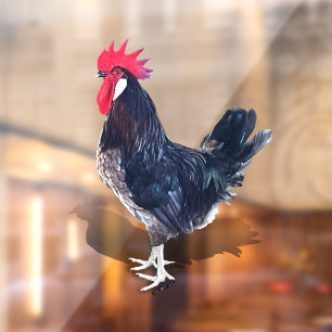 Minorca Rooster