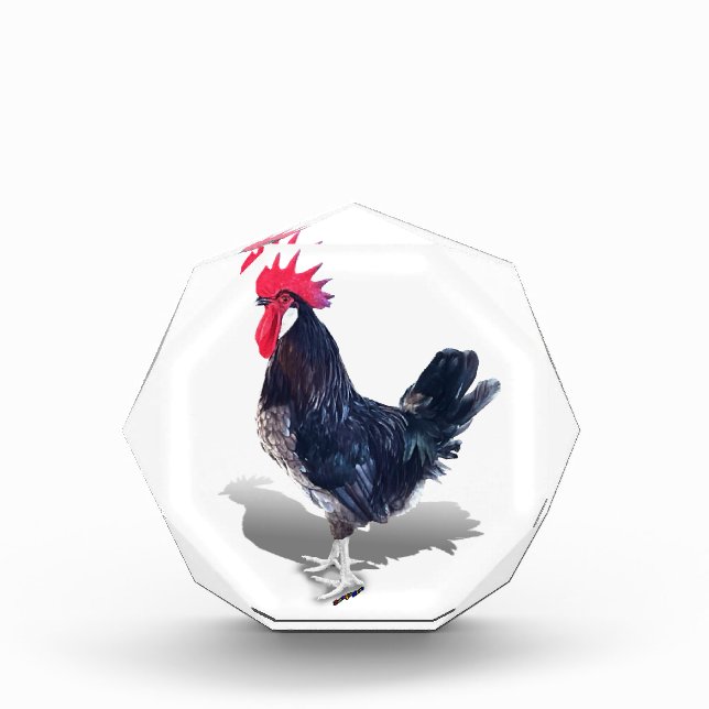 Minorca Rooster Photo Block (Front)