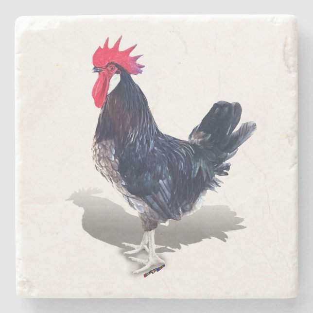 Minorca Rooster Stone Coaster (Front)