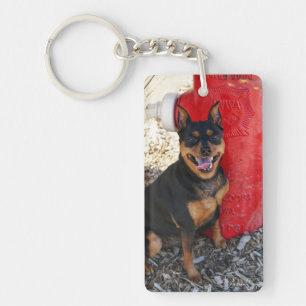 MInPin Happiness Key Ring