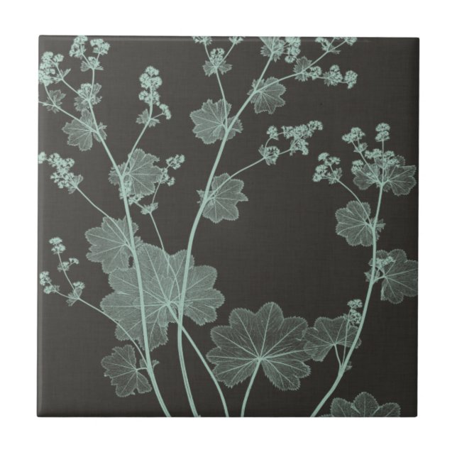 Mint & Charcoal Nature Study I Ceramic Tile (Front)