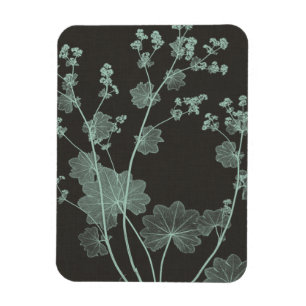 Mint & Charcoal Nature Study I Magnet