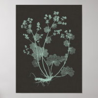 Mint & Charcoal Nature Study I
