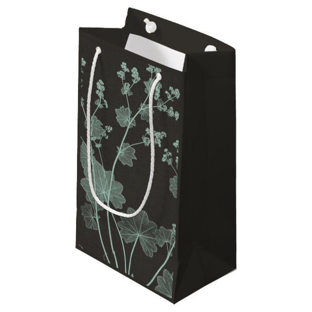 Mint & Charcoal Nature Study I Small Gift Bag (Front Angled)