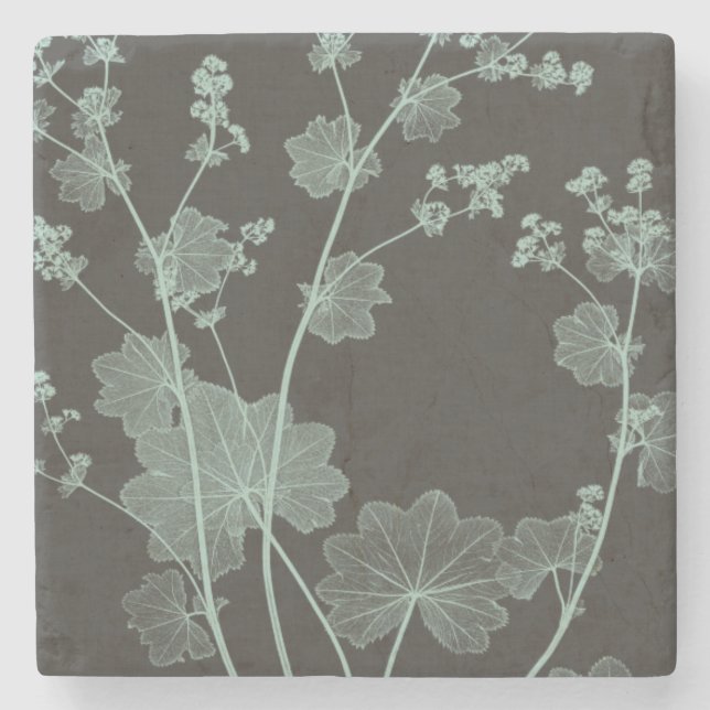 Mint & Charcoal Nature Study I Stone Coaster (Front)