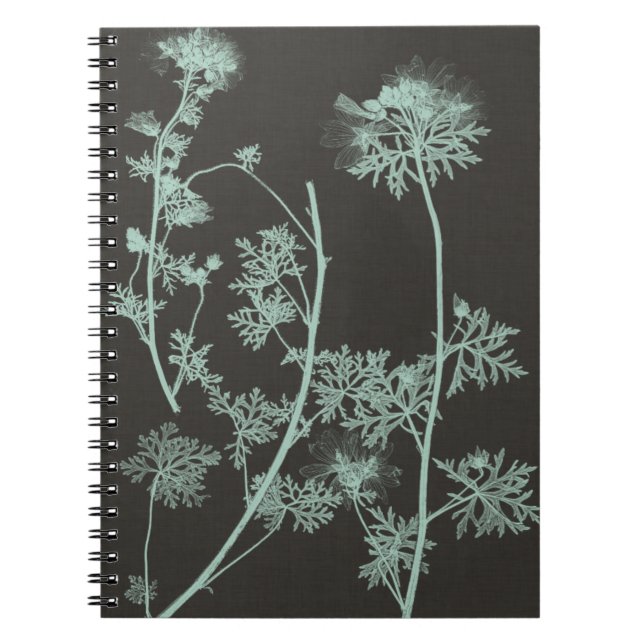 Mint & Charcoal Nature Study IV Notebook (Front)