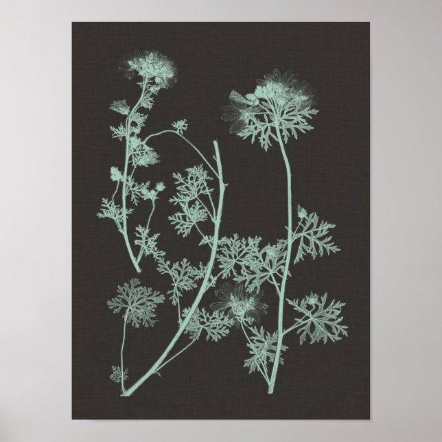 Mint & Charcoal Nature Study IV Poster (Front)