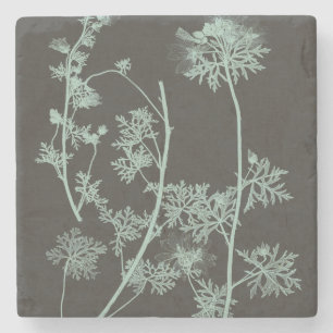 Mint & Charcoal Nature Study IV Stone Coaster