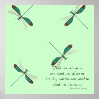 Mint Dragonflies What Lies Behind Us Poster