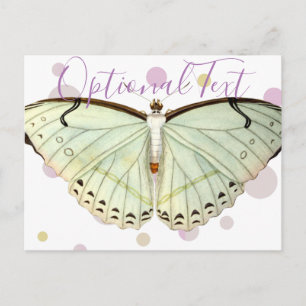 Mint Green Beauty Butterfly  Postcard