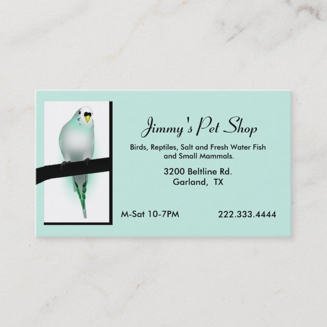 Mint Green Parakeet Pet Store Business Card (Front)