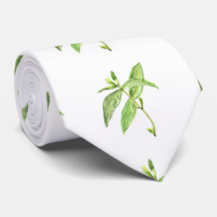 Mint herb botanical plants green garden watercolor tie