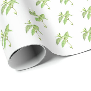 Mint herb botanical plants green garden watercolor wrapping paper