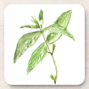 Mint herb coaster