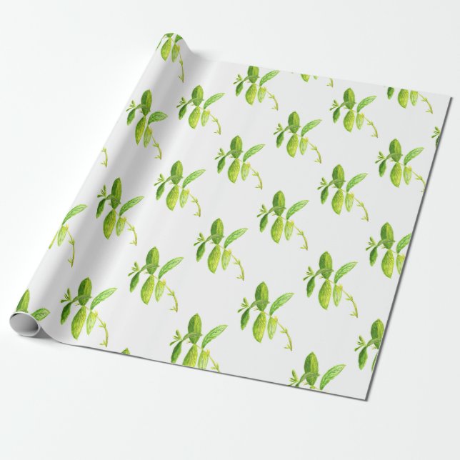 Mint herb watercolor Green Garden plant kitchen Wrapping Paper (Unrolled)