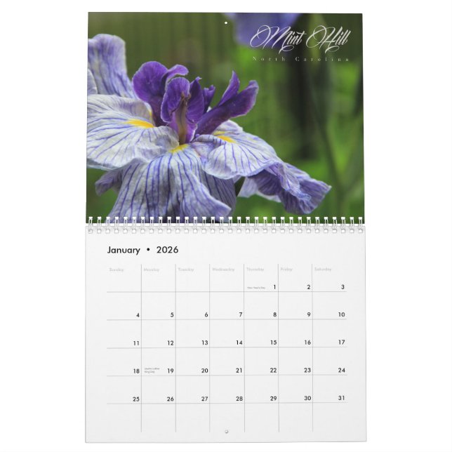 Mint Hill North Carolina calendar (Jan 2026)