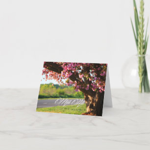 mint Hill North Carolina greeting cards
