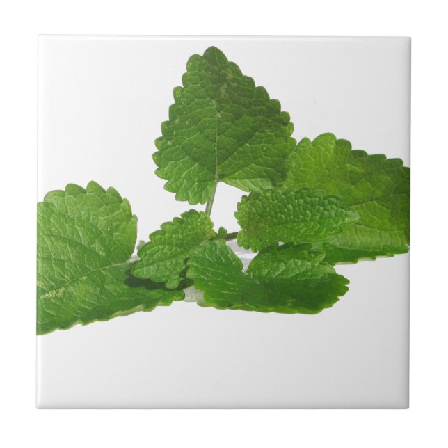 Mint Leaf Tile (Front)