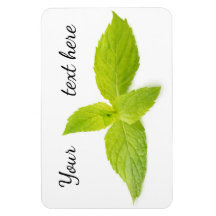 Mint leaves