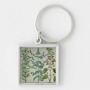 Mint: Mentha crispa Key Ring