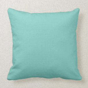 Mint Mint Green Solid Colour Cushion