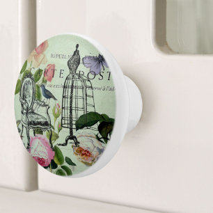 mint modern vintage french rose butterfly paris ceramic knob