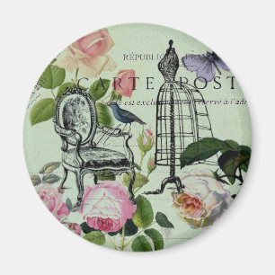 mint modern vintage french rose butterfly paris magnet