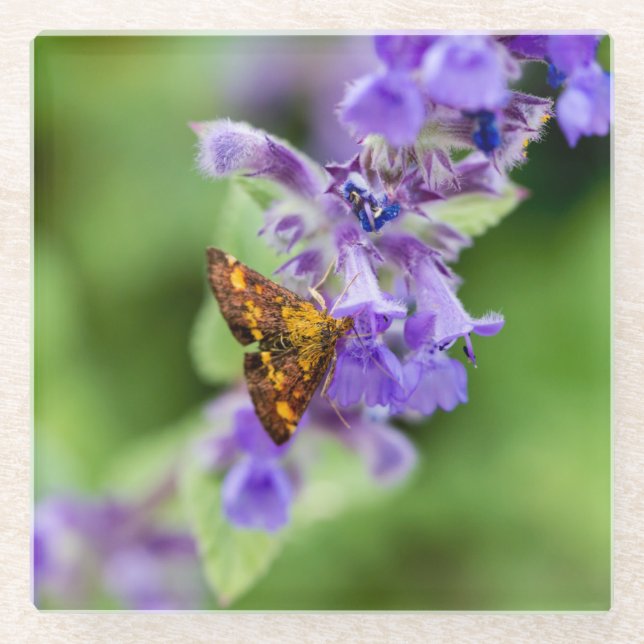 Mint Moth Glass Coaster (Front)