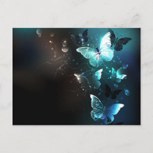 Mint Night Butterflies Holiday Postcard