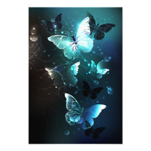 Mint Night Butterflies Photo Print