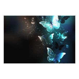 Mint Night Butterflies Photo Print