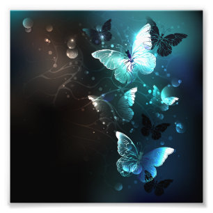 Mint Night Butterflies Photo Print