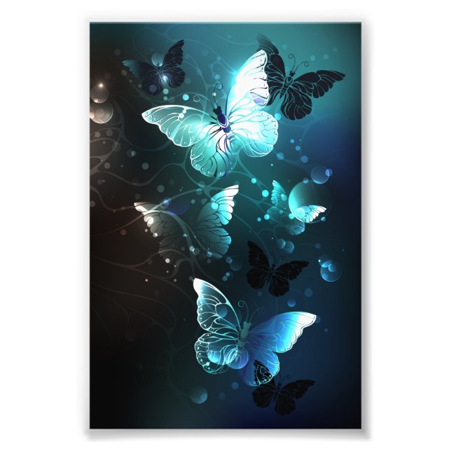 Mint Night Butterflies Photo Print (Front)