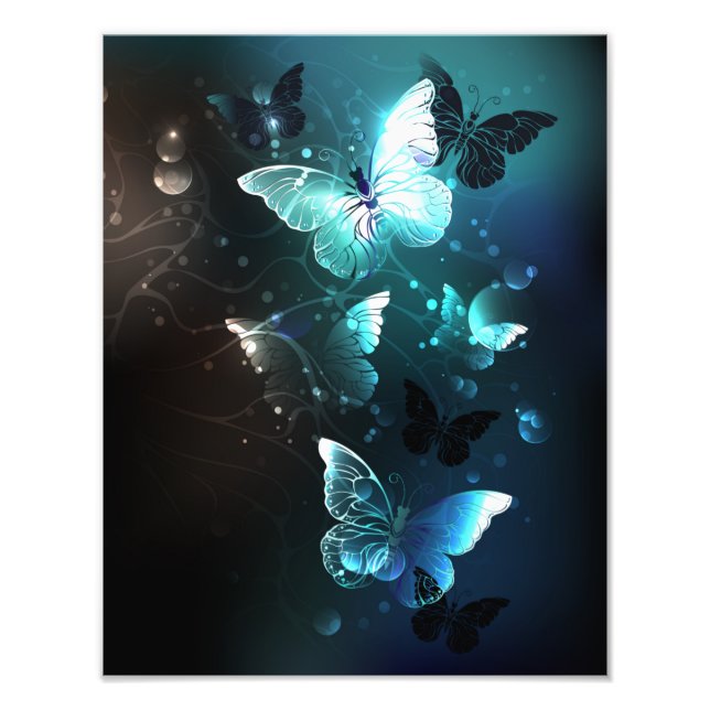 Mint Night Butterflies Photo Print (Front)