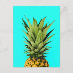 Mint Pineapple Top Postcard
