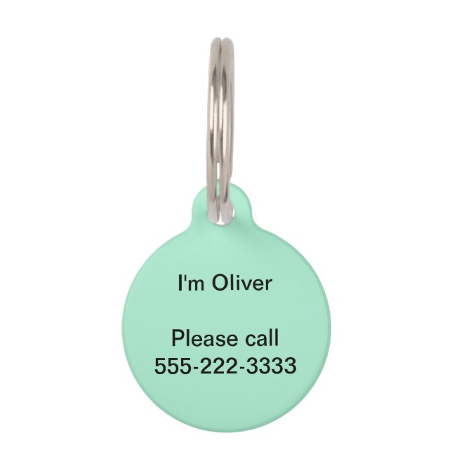 Mint Solid Colour Pet Tag (Front)