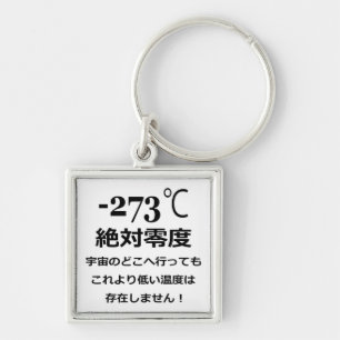 Minus 273 key ring