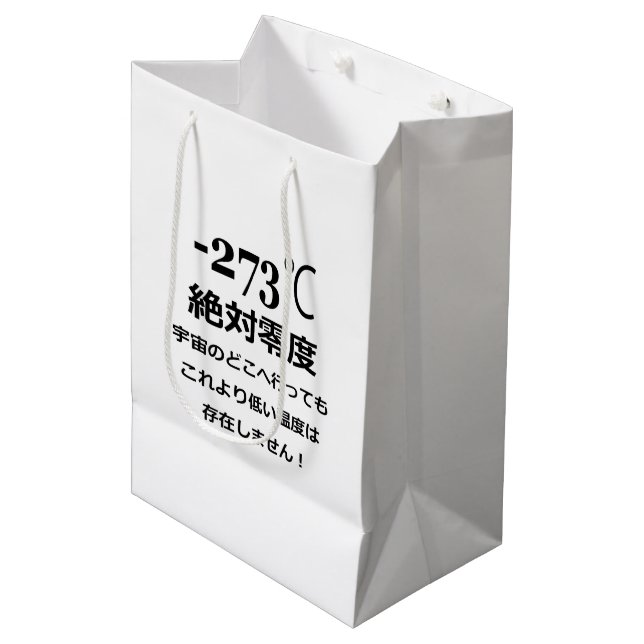 Minus 273 medium gift bag (Front Angled)
