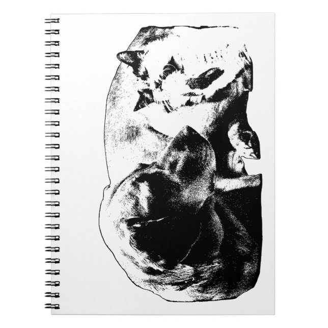 Minutes of the House Meeting Notebook (Front)