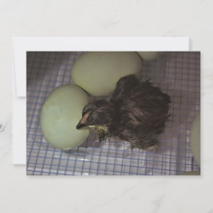 Minutes Old Invitation