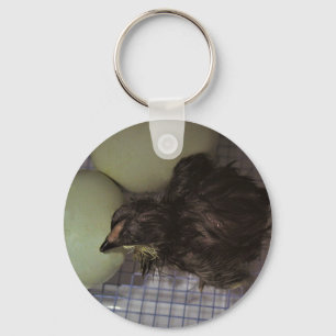 Minutes Old Key Ring