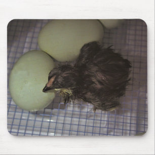 Minutes Old Mouse Pad