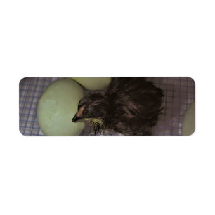 Minutes Old Return Address Label