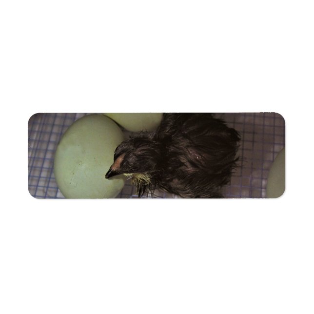 Minutes Old Return Address Label (Front)