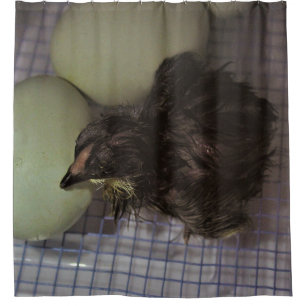 Minutes Old Shower Curtain
