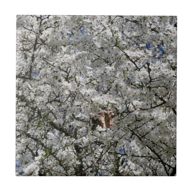 Mirabelle Blossom Ceramic Tile (Front)